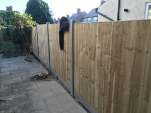 Heavy duty fencing using concrete posts, concrete gravel boards and feather edge panels.