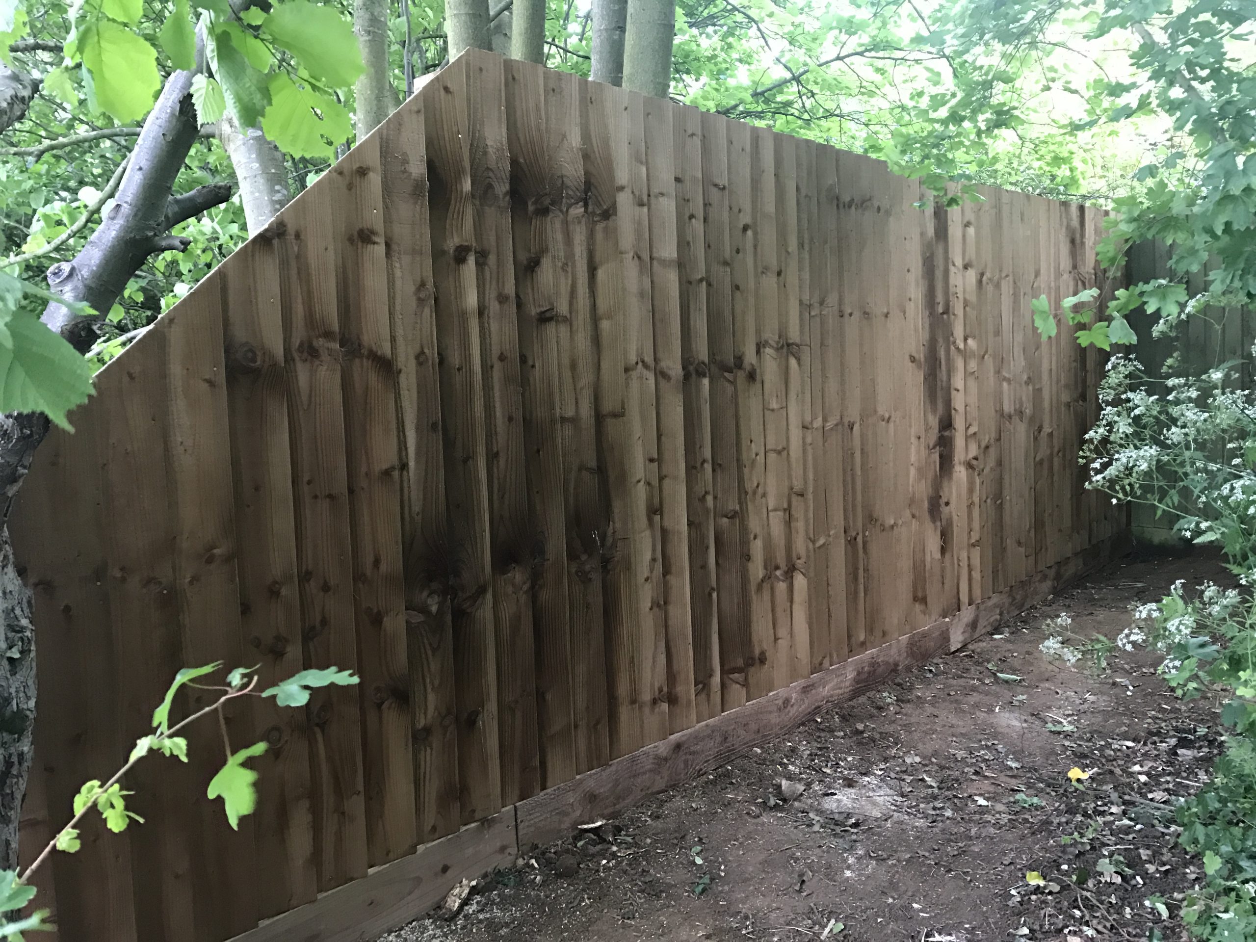 Feather edge fencing on timber posts and timber gravel boards